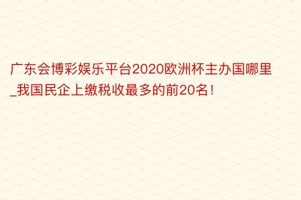 广东会博彩娱乐平台2020欧洲杯主办国哪里_我国民企上缴税收最多的前20名！